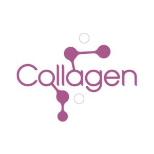 Collagen Foam