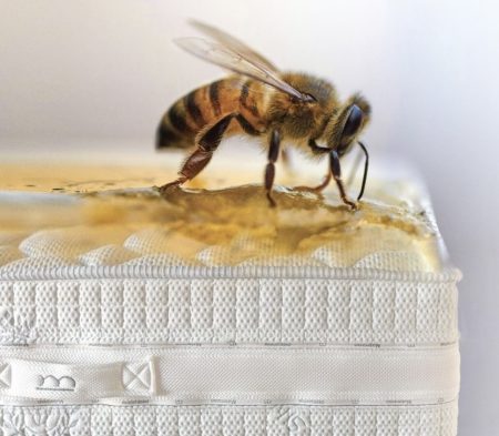 Medové týždne s Materasso