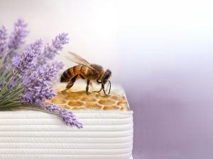 Medové týždne s levanduľou