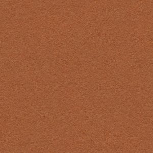 Dune 54